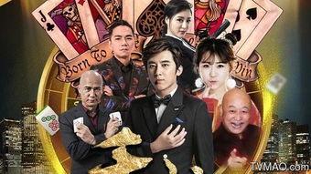 千术2演员,演技巅峰，揭秘幕后风云