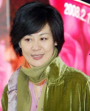 咱家女演员丁宁资料,璀璨银幕下的优雅女演员